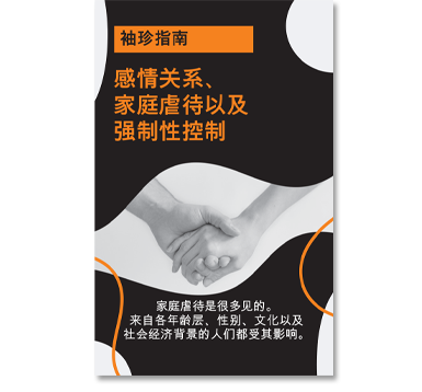 Coercive Control : CHINESE Edition